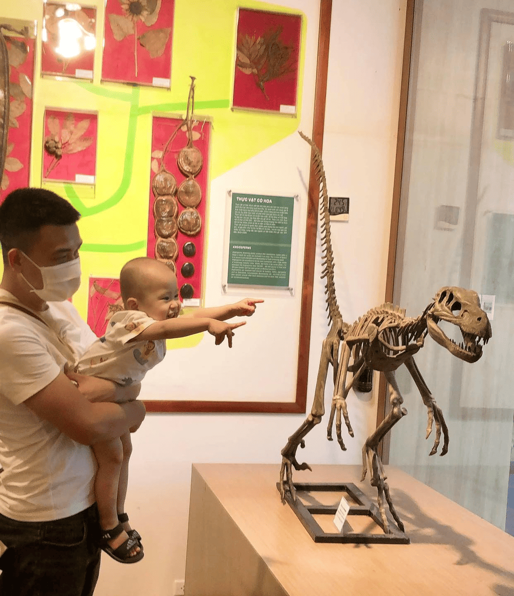 H&oacute;a thạch khủng long t&aacute;i hiện sinh động lịch sử Tr&aacute;i Đất cổ đại (Nguồn: Bảo t&agrave;ng Thi&ecirc;n nhi&ecirc;n Việt Nam)